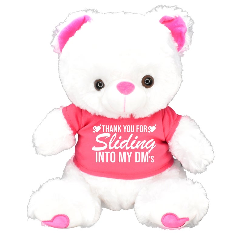 Thank You For Sliding Into My DM's! Teddy Bear Valentines Day Gift For Her DM Online Dating Galentines Day Him Boyfriend Girlfriend