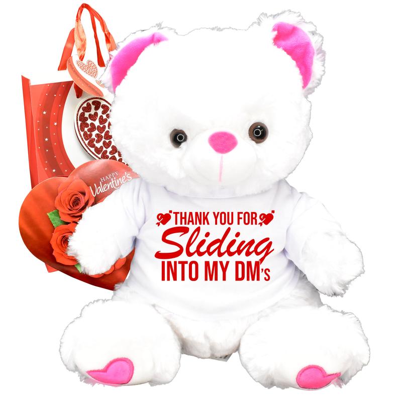 Thank You For Sliding Into My DM's! Valentines Day Gift Teddy Bear Gift Bag Chocolates White Pink Red Girlfriend Husband Wife Galentines Day