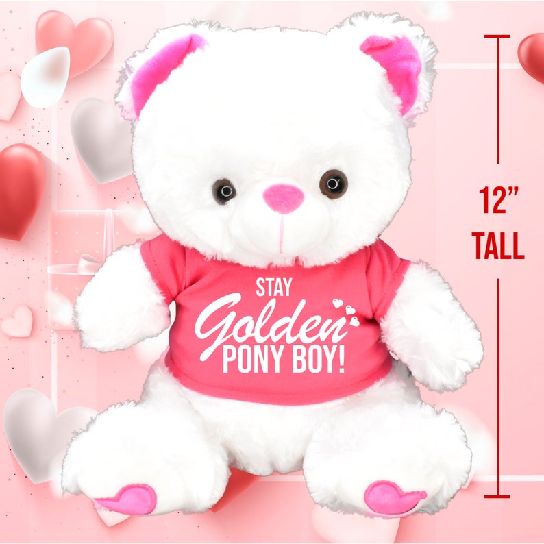 Stay Golden Pony Boy! Valentines Day Teddy Bear Gift For Him Her Teddybear Galentines Pink Funny Cute Stuffed Animal