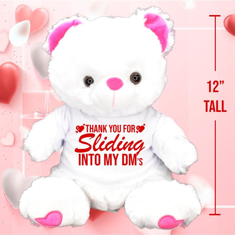 Thank You For Sliding Into My DM's! Valentines Day Gift Teddy Bear Gift Bag Chocolates White Pink Red Girlfriend Husband Wife Galentines Day