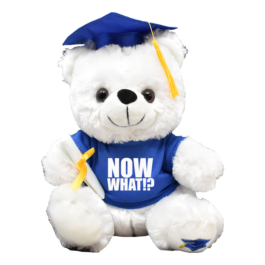 NOW WHAT!? Funny Graduation Gift White Teddy Bear Plush 12" Tall Blue Shirt